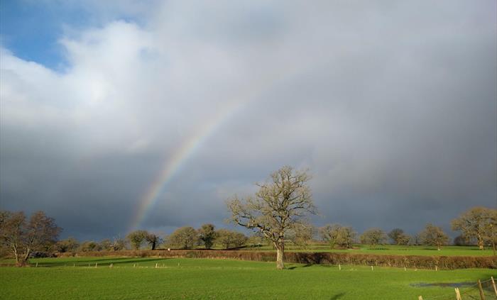 View to Dinefwr castle